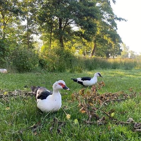 Pipowagens Bij Pannenkoekenrestaurant & Camping De Koppenjan 'Een Uniek Verblijf Met Kinderspeelboerderij' Jubbega-Schurega Exterior foto